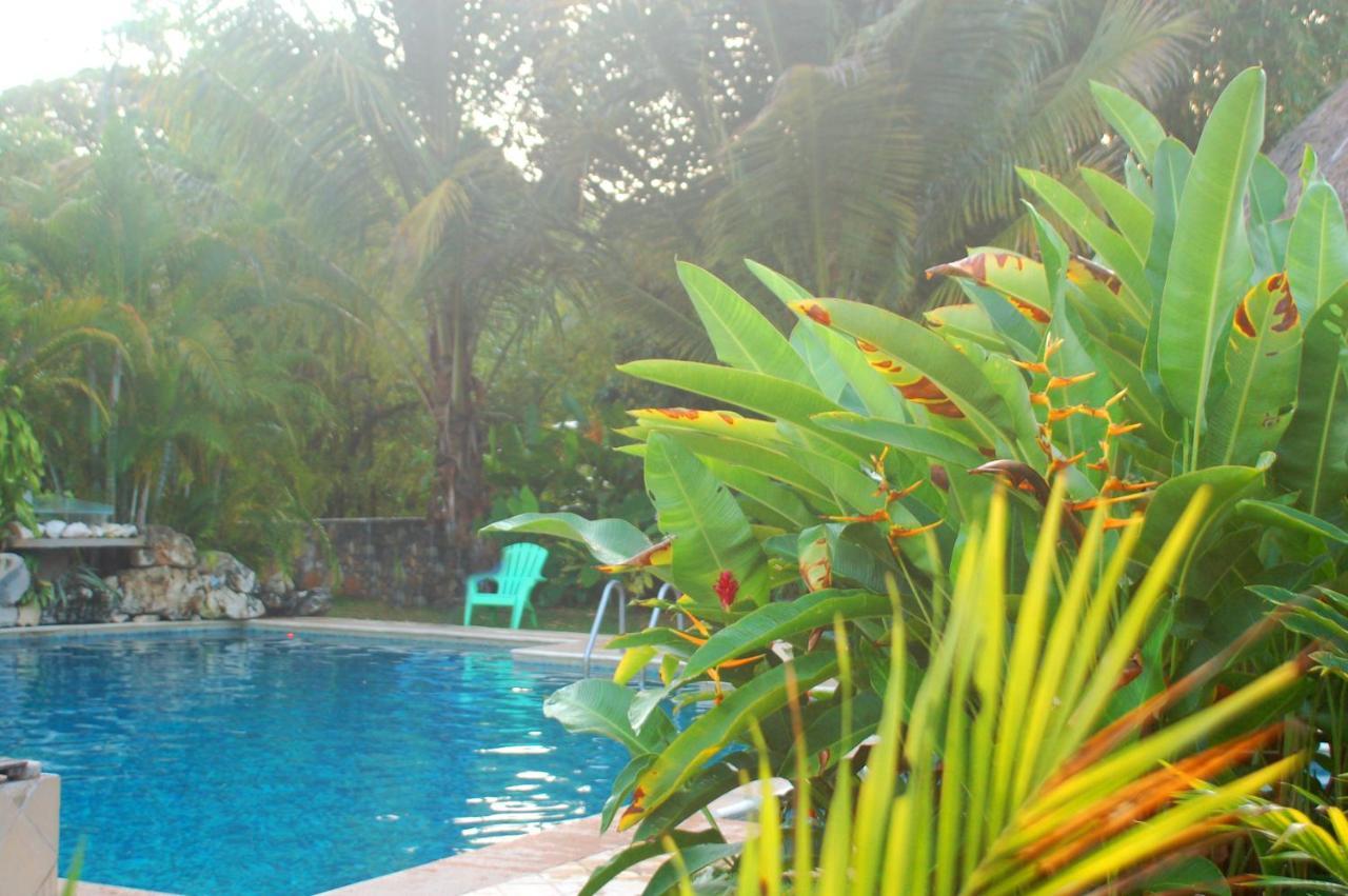 Axkan Palenque, Shows En Vivo & Gastronomia Mar Y Tierra & Travel Agency Ngoại thất bức ảnh
